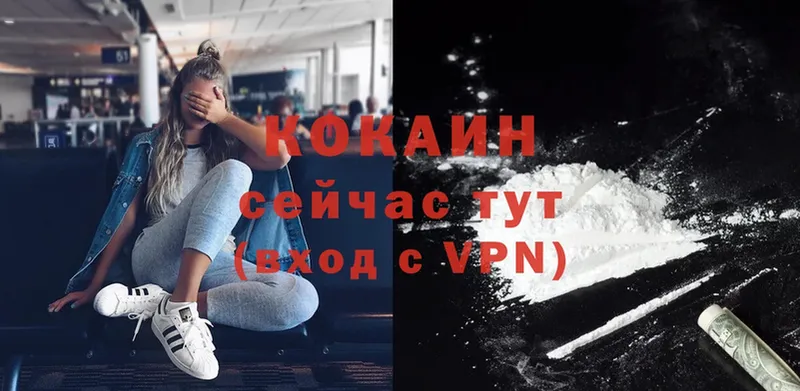 MEGA как войти  Губкинский  COCAIN 98% 